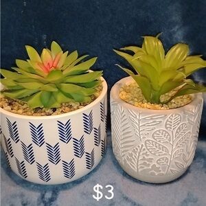 Decorative Succulent Planters - Green and White